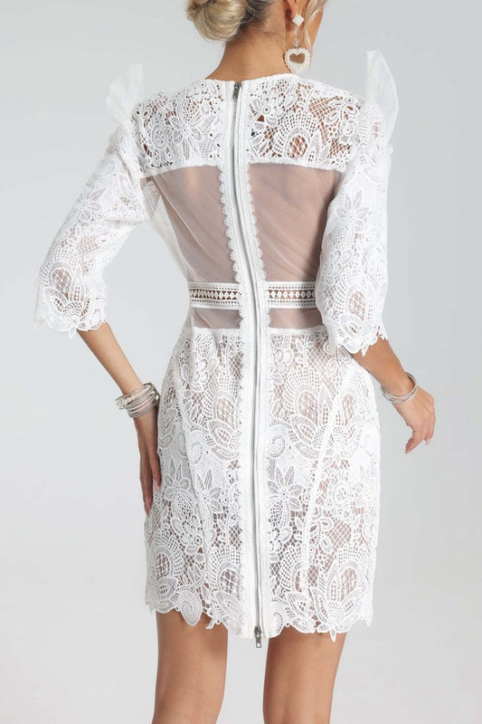 Magnolia Lace-Embroidered Mini Dress Avalabel