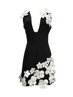 Black and White Mini Dress Avalabel