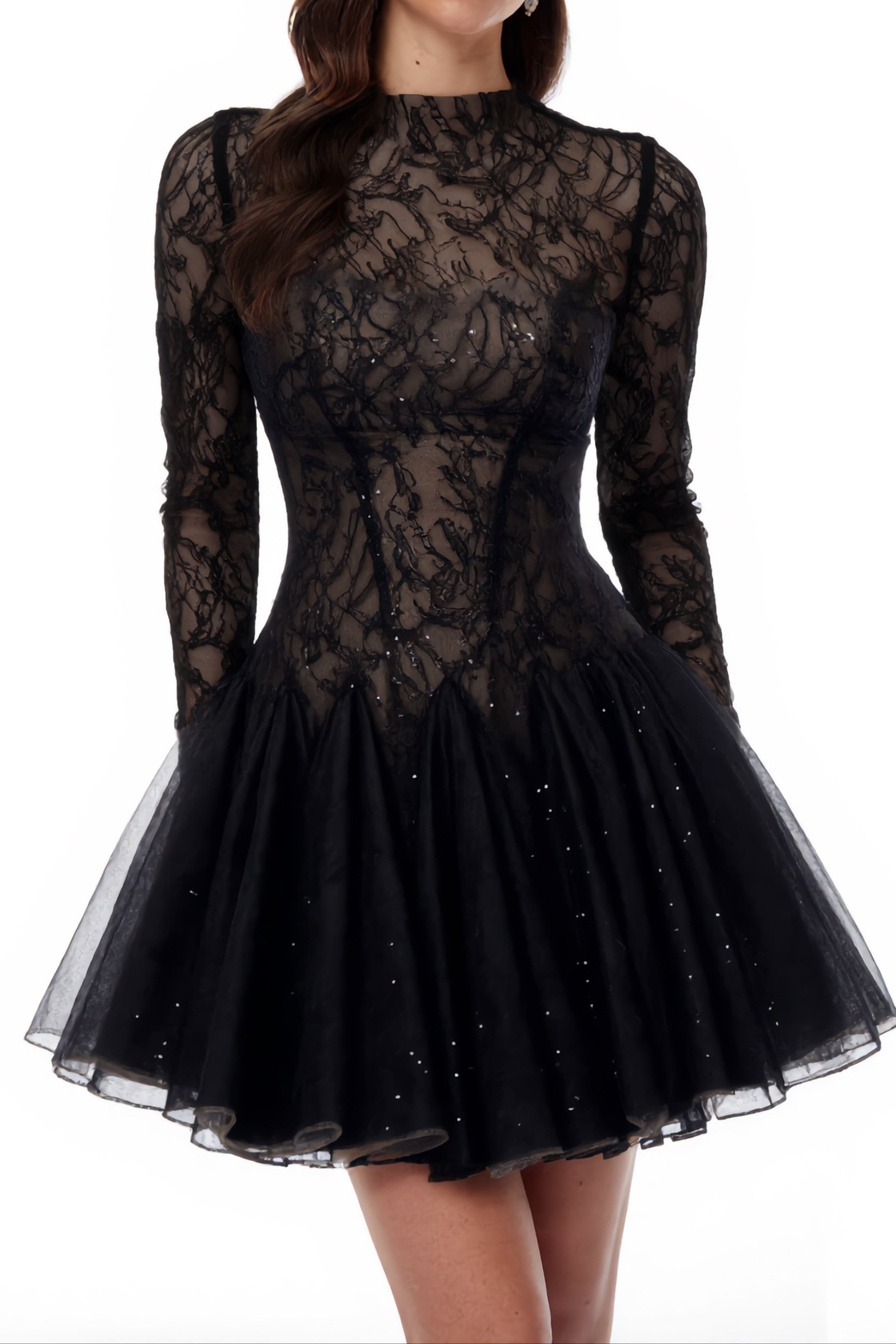 Black Sheer Lace High Neck Long Sleeve Tulle Mini Dress poava