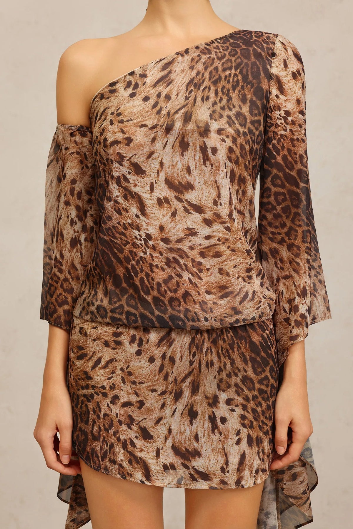 edwina Long Sleeves Leopard Print Mini Dress in brown Avalabel