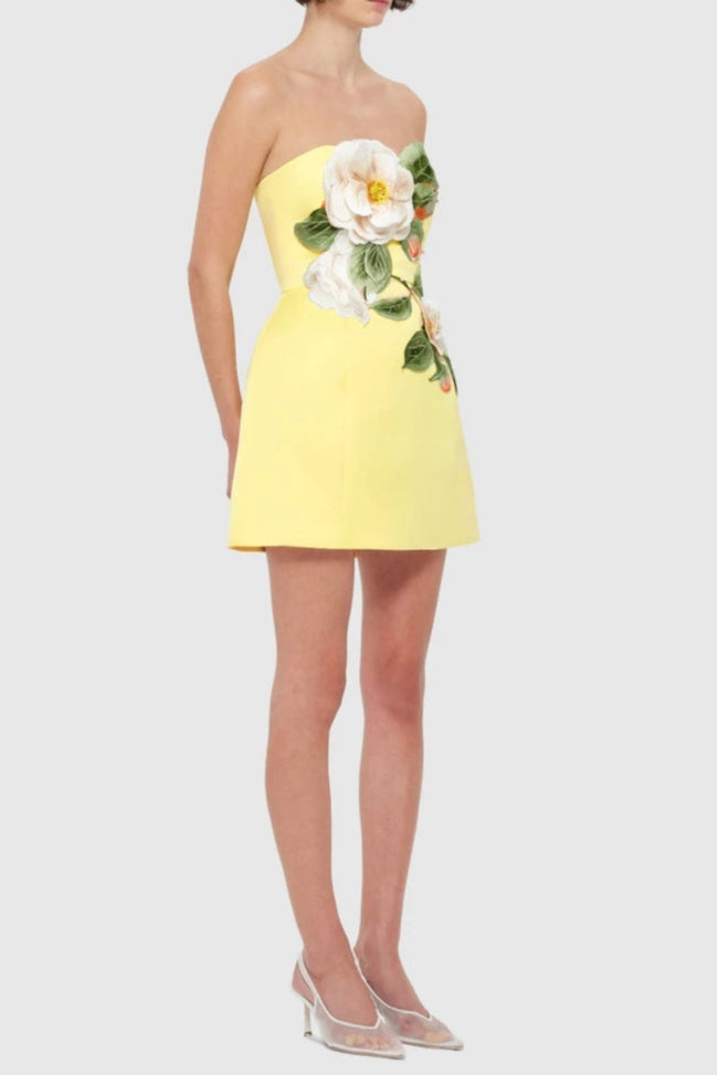 Suzanne Appliqué Floral Bustier Mini Dress in Yellow Avalabel