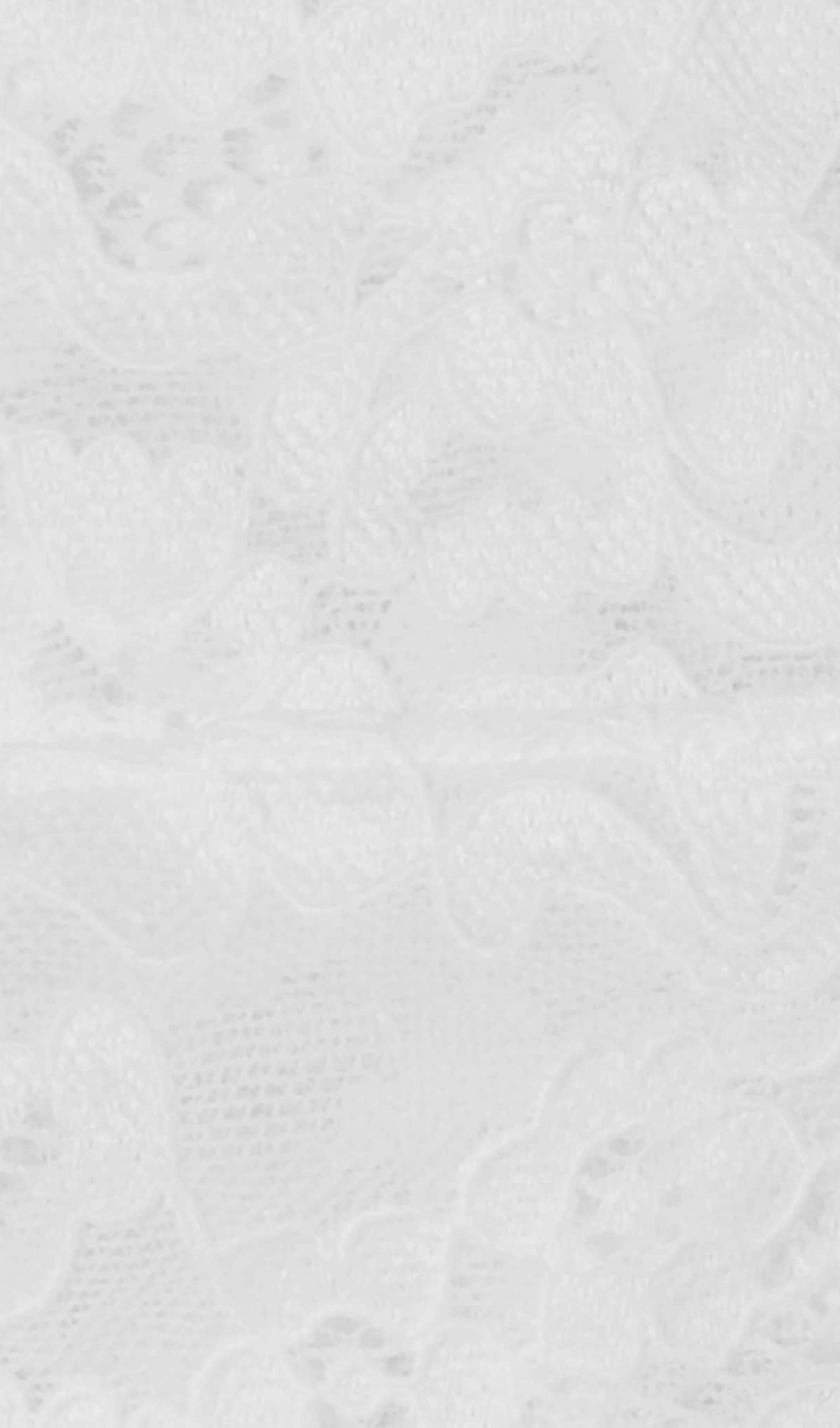 Lace Draped Neckline Mini Dress Avalabel