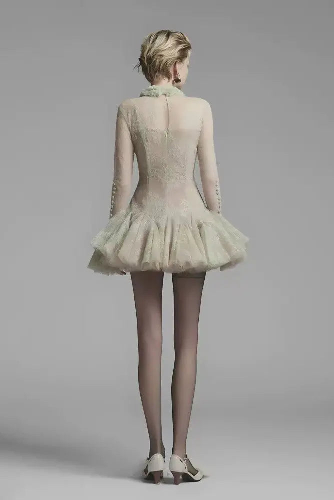 Embroidered Flared long sleeve Mini Dress Avalabel