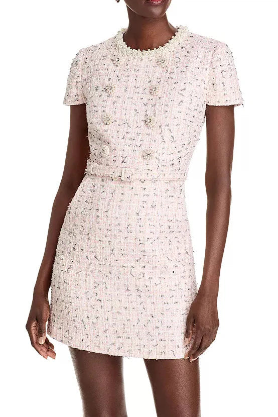 Embellished Bouclé Mini Dress in Pink Avalabel