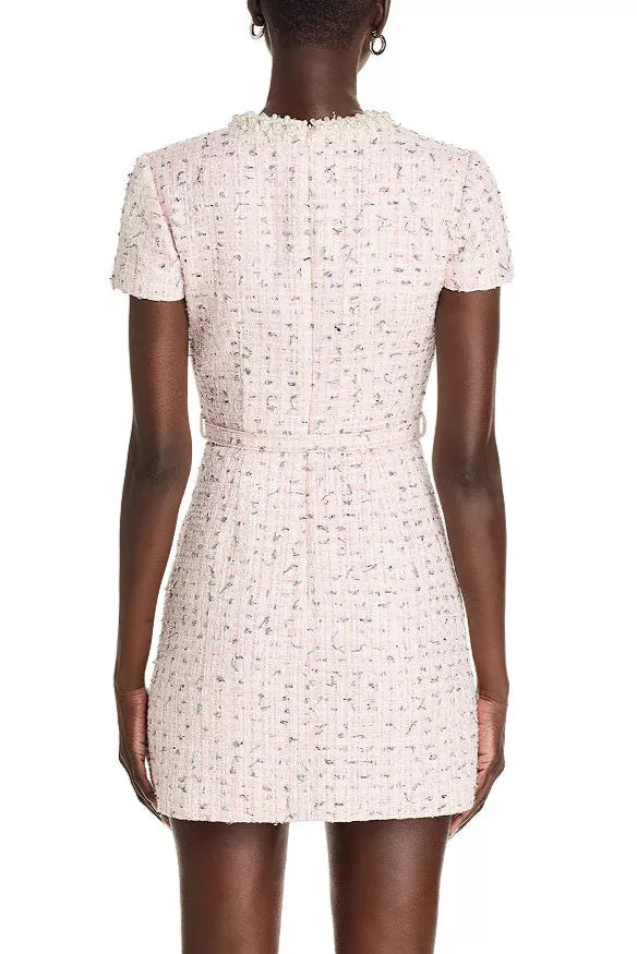 Embellished Bouclé Mini Dress in Pink Avalabel
