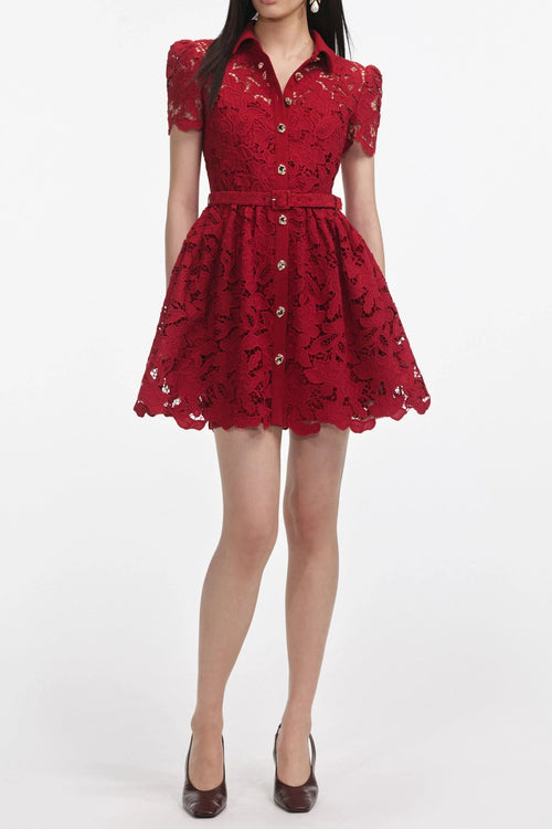Burgundy Lace Collared Mini Dress Avalabel