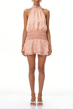 jane Halterneck Pleated Chiffon Mini Dress in pink Avalabel