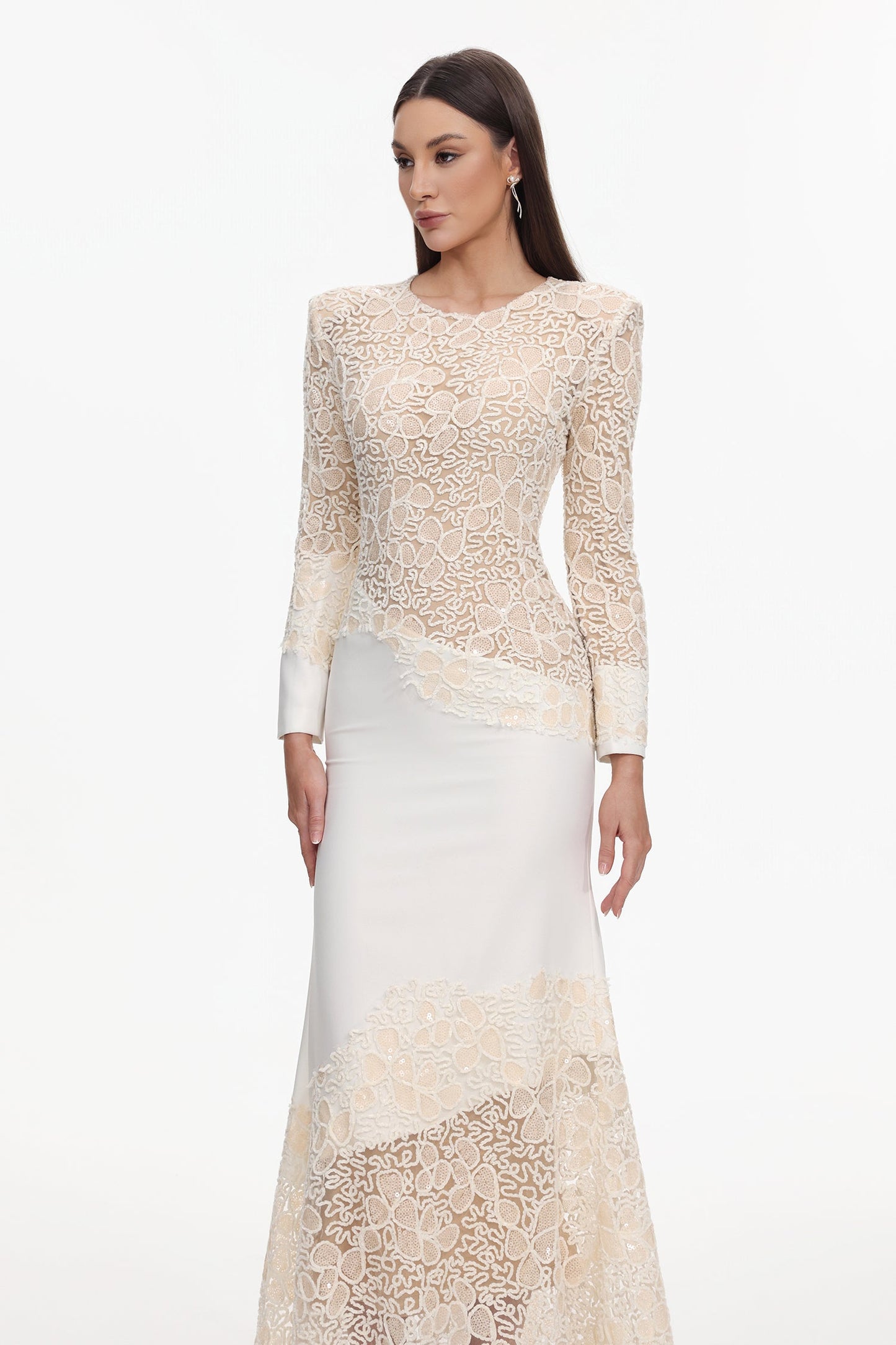 Jacqueline Beige lace Embroidered long sleeve Maxi Dress