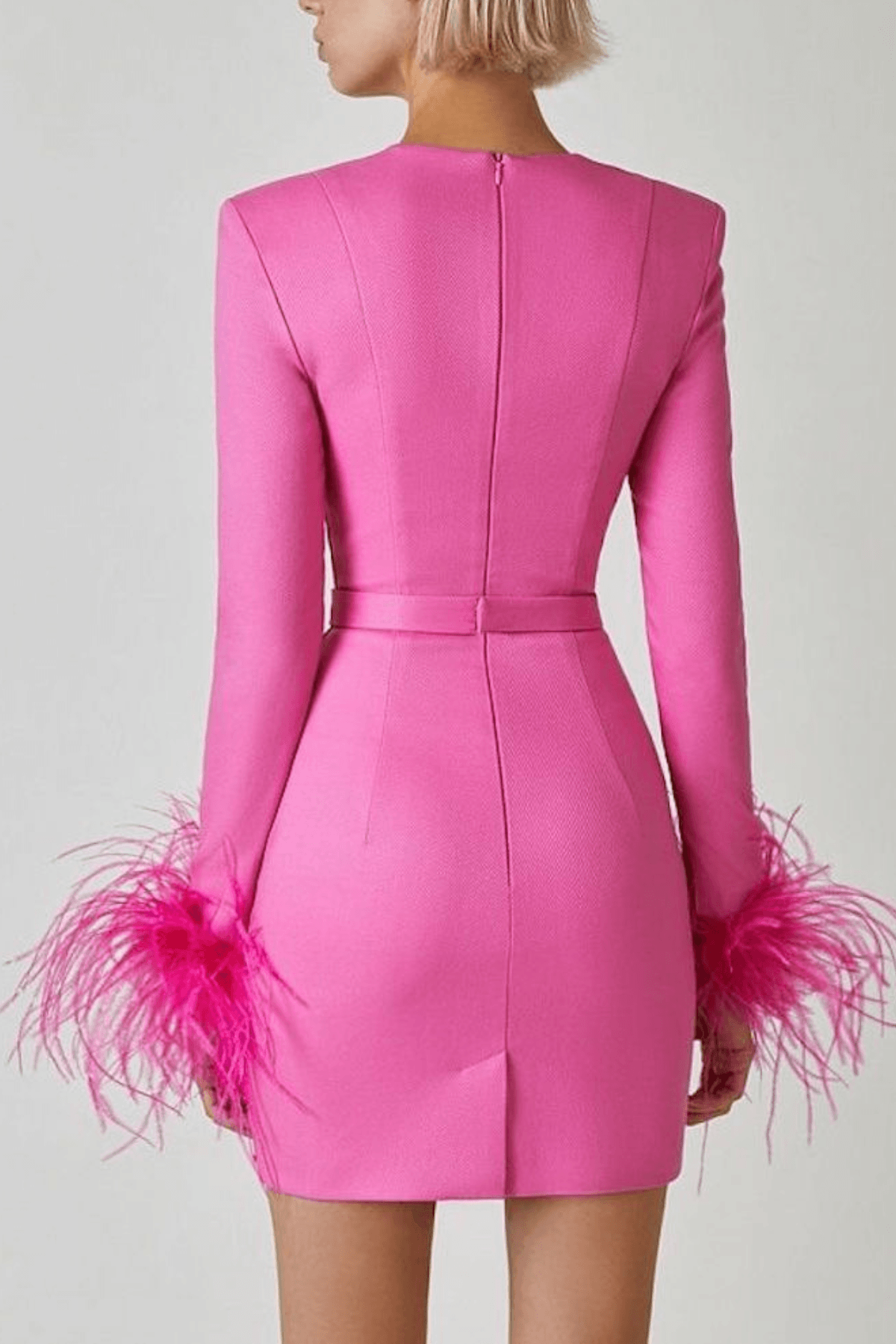 Emily Feather Cuff Long Sleeve Mini Dress Avalabel
