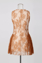 Celia Lace Bow Neck Fit and Flare Mini Dress Avalabel