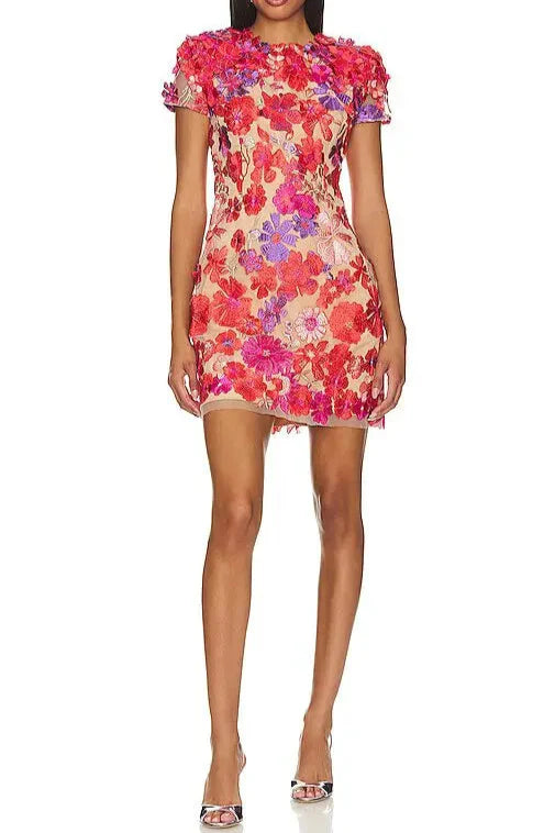 Embroidered Applique Slim Mini Dress in Red Avalabel