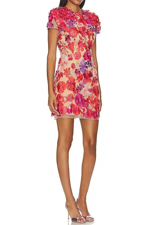 Embroidered Applique Slim Mini Dress in Red Avalabel