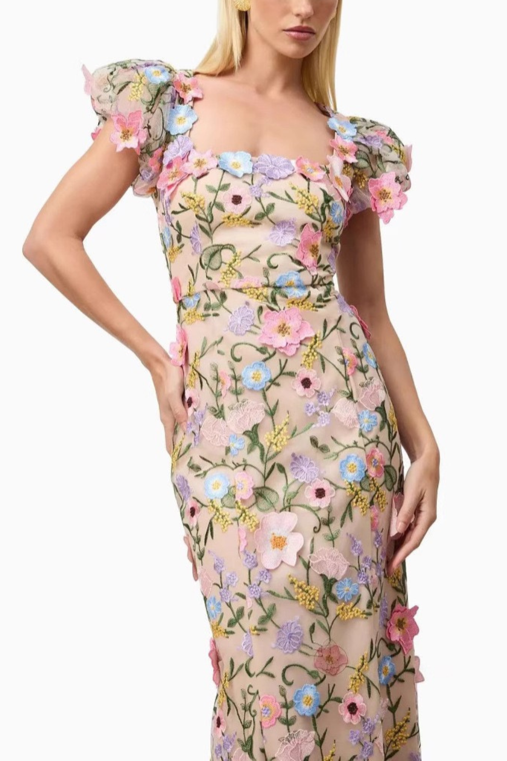 Olivia Square Neck Puff Sleeve 3D Floral Embroidery Mesh Dress Avalabel