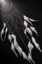 Bohemian White Feather Cascade Head Chain Avalabel