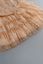 Bella Pink Lace Ruffle Corset Mermaid Dress Avalabel