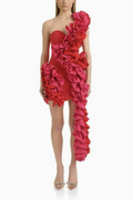 Keyla Ruffle Trim Bodycon Mini Dress Avalabel