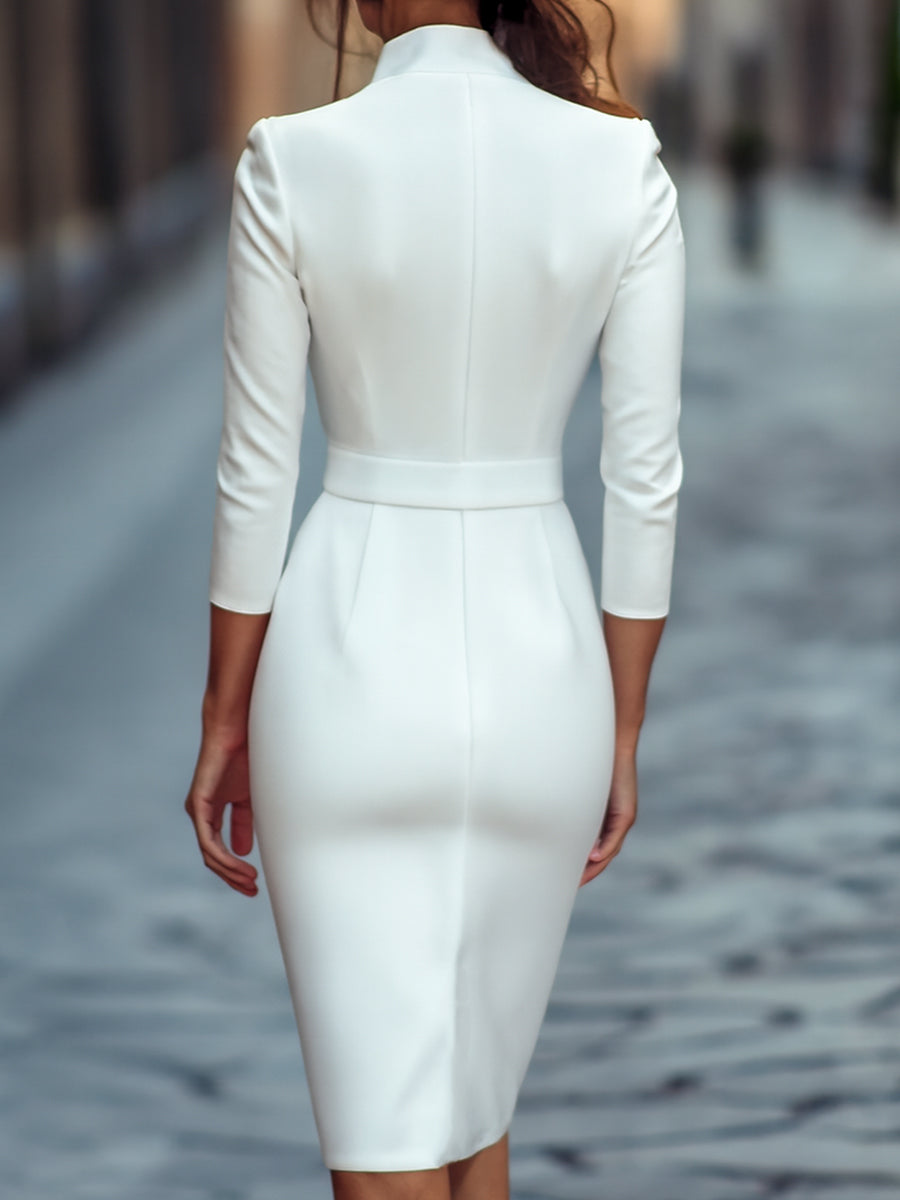 Refined Black Belted Sheath Dress with Mandarin Collar Avalabel