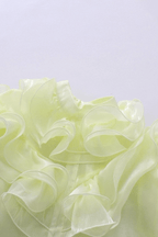 Bonnie Yellow Ruffled Organza Skirt Set Avalabel
