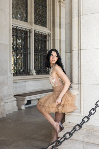Ballerina |  Beige Tulle Mini Dress with 3D Applique