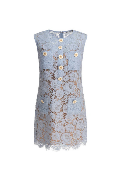 Eunice Hollow Pencil Lace Mini Dress in Blue