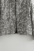 Helen Silver Sequin Cropped Jacket Avalabel