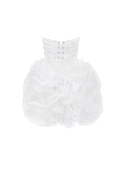 Georgia Appliquéd Organza White Mini Dress