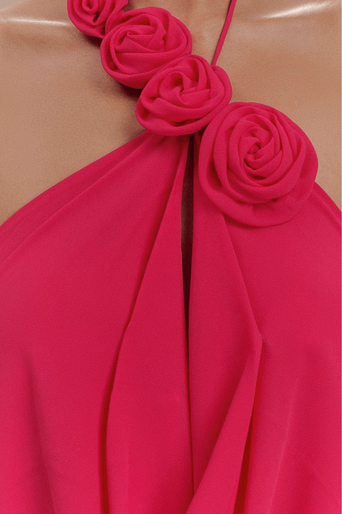 Sophia Floral Appliqué Halter Neck Draped Maxi Dress Avalabel