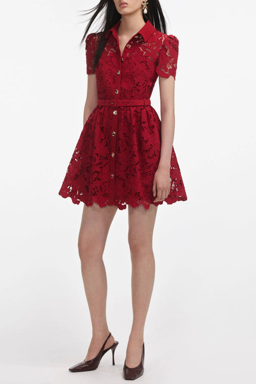 Burgundy Lace Collared Mini Dress Avalabel