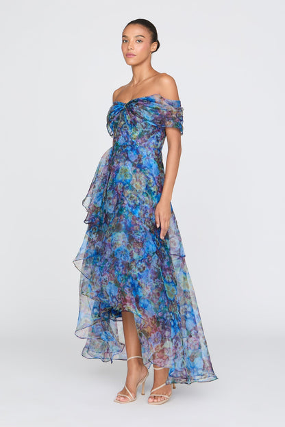 Maria Off-Shoulder Mesh Floral Print Slip Maxi Dress - Blue