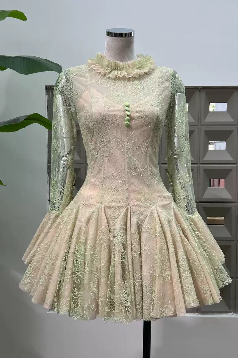Green Embroidered Flared Mini Dress Avalabel