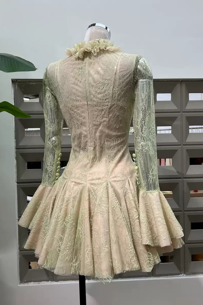 Green Embroidered Flared Mini Dress Avalabel