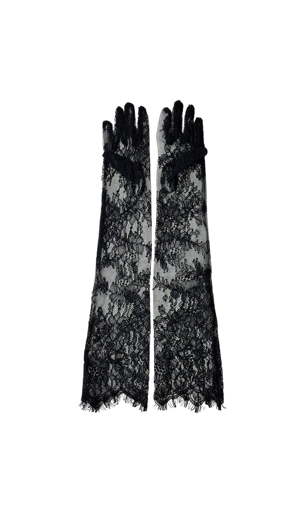 Pom LACE HANDMADE LONG GLOVES Avalabel