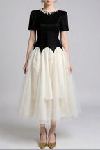 Leona Black-White Two-Tone Rhinestone Neck Tulle Maxi Dress Avalabel