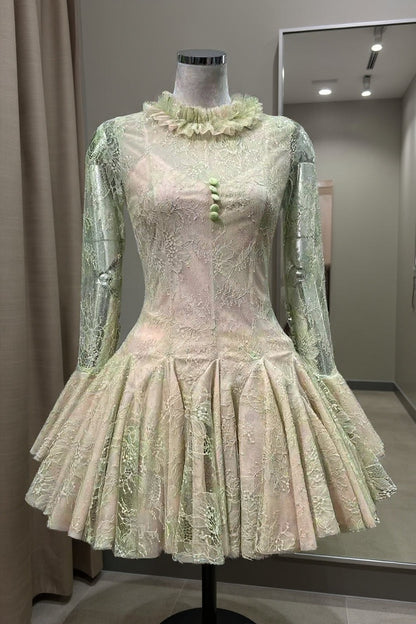 Embroidered Flared long sleeve Mini Dress
