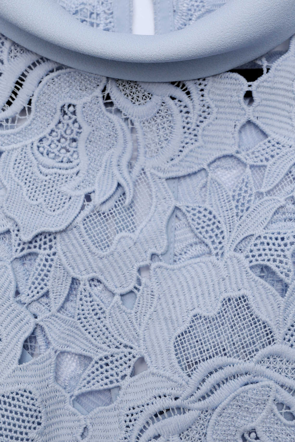 Blue Flower Lace Contrast Collar Midi Dress Avalabel