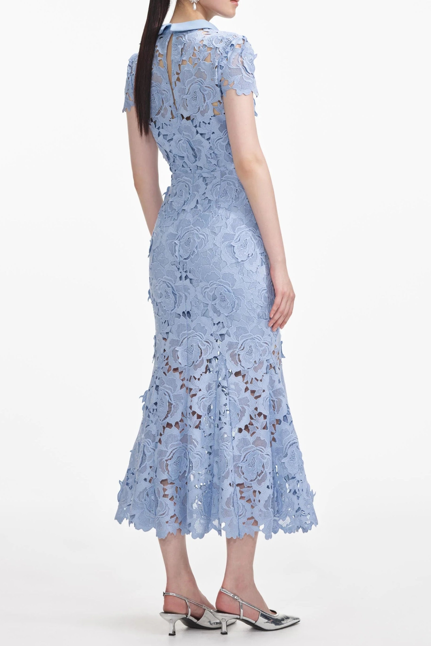 Blue Flower Lace Contrast Collar Midi Dress Avalabel
