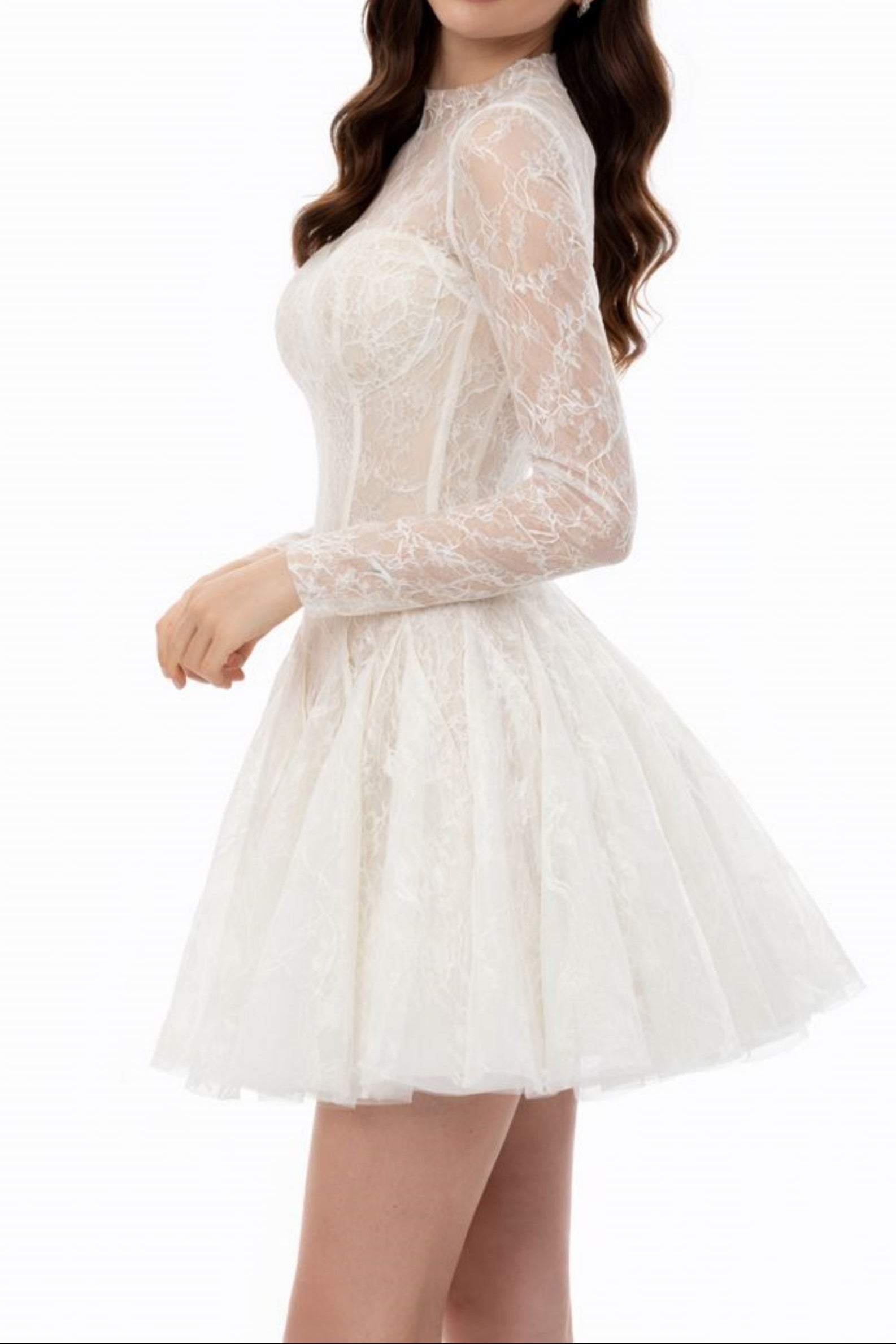 High Neck Long Sleeve Sheer Lace Fit &amp; Flare Mini Dress poava