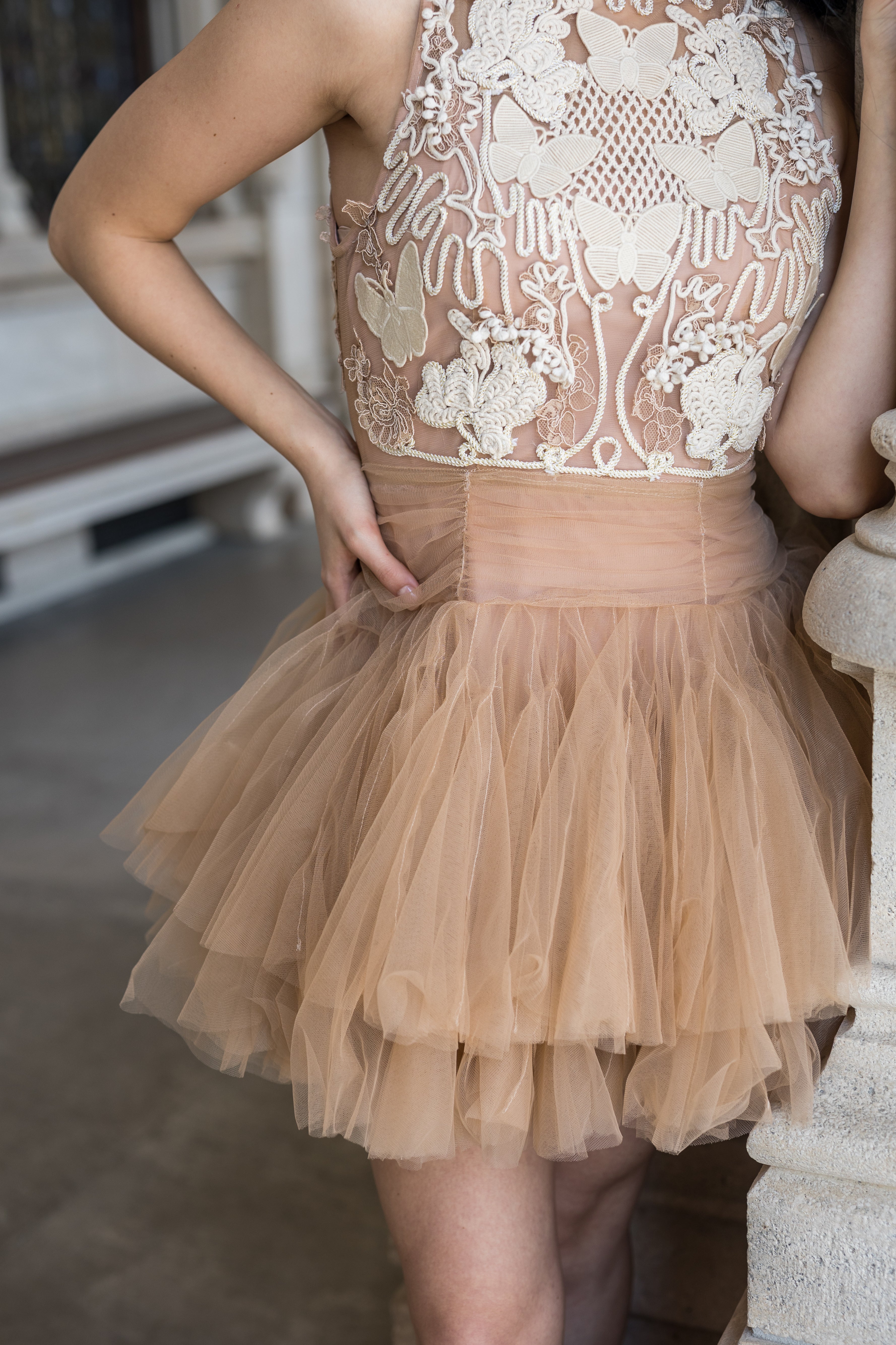 Ballerina |  Beige Tulle Mini Dress with 3D Applique Avalabel