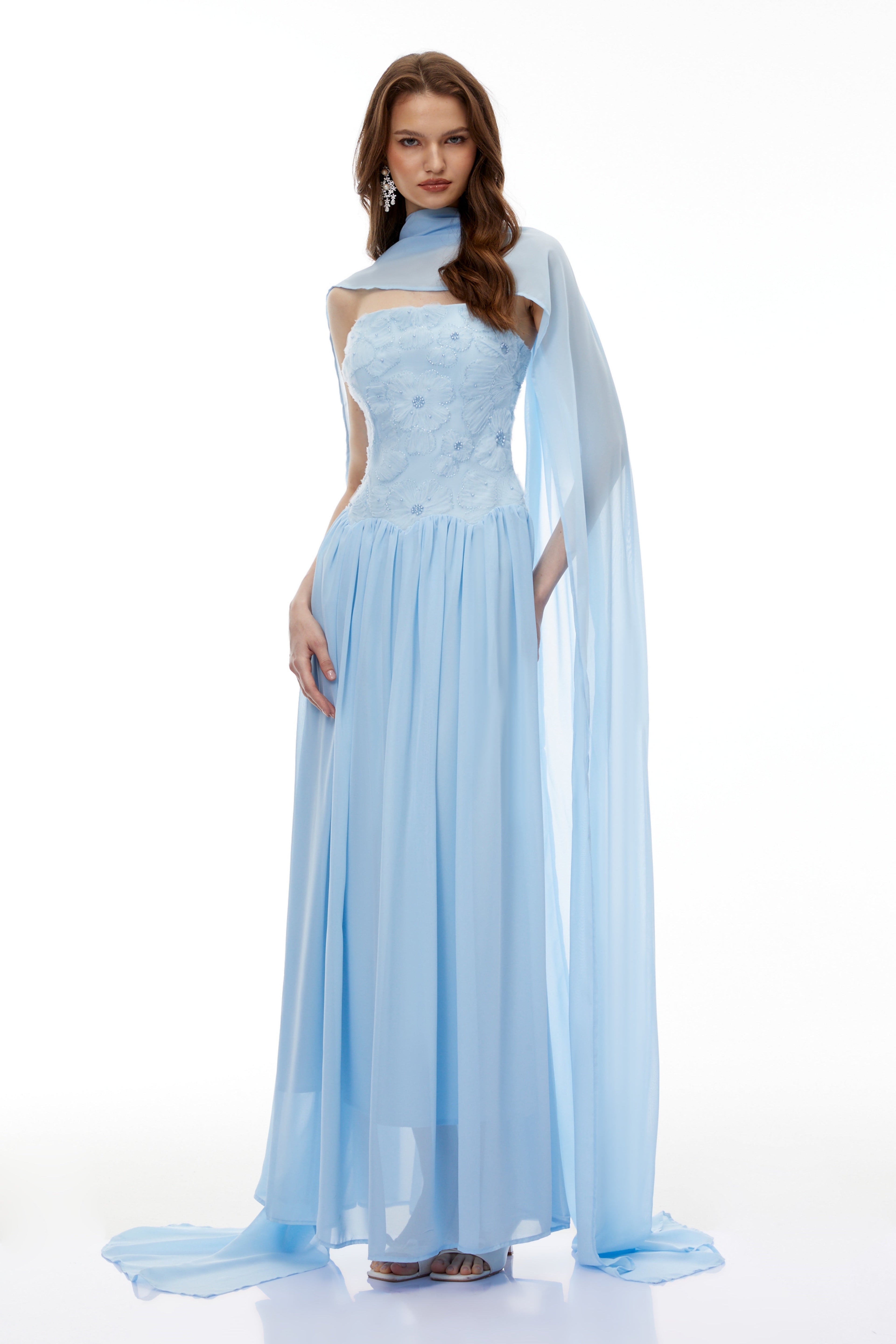 Rebecca blue Floral Embroidered Pleated Maxi Dress Avalabel