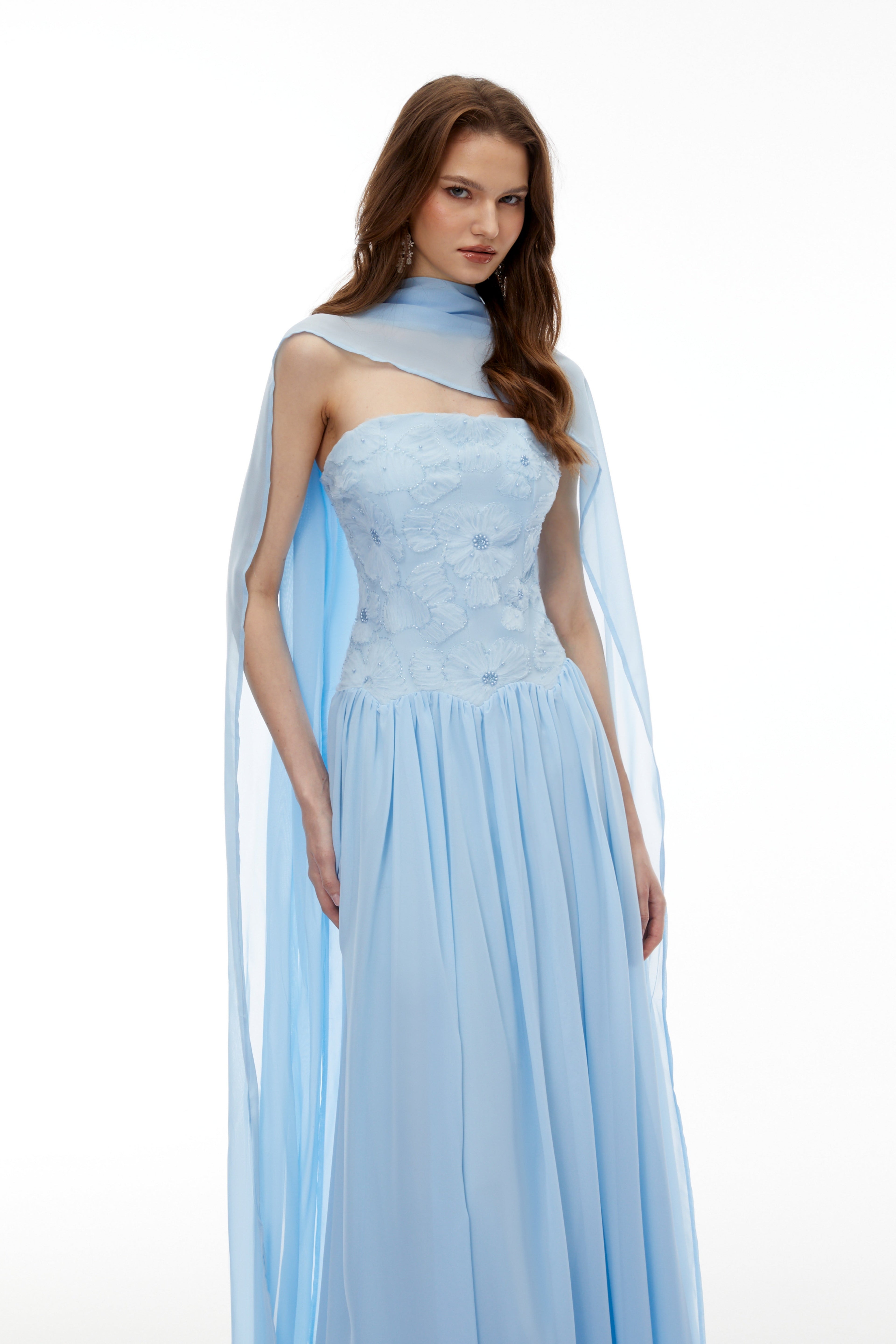 Rebecca blue Floral Embroidered Pleated Maxi Dress Avalabel
