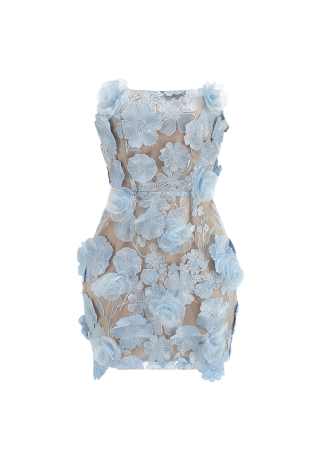 Jessica Floral Embroidery Mini Dress in Blue Avalabel