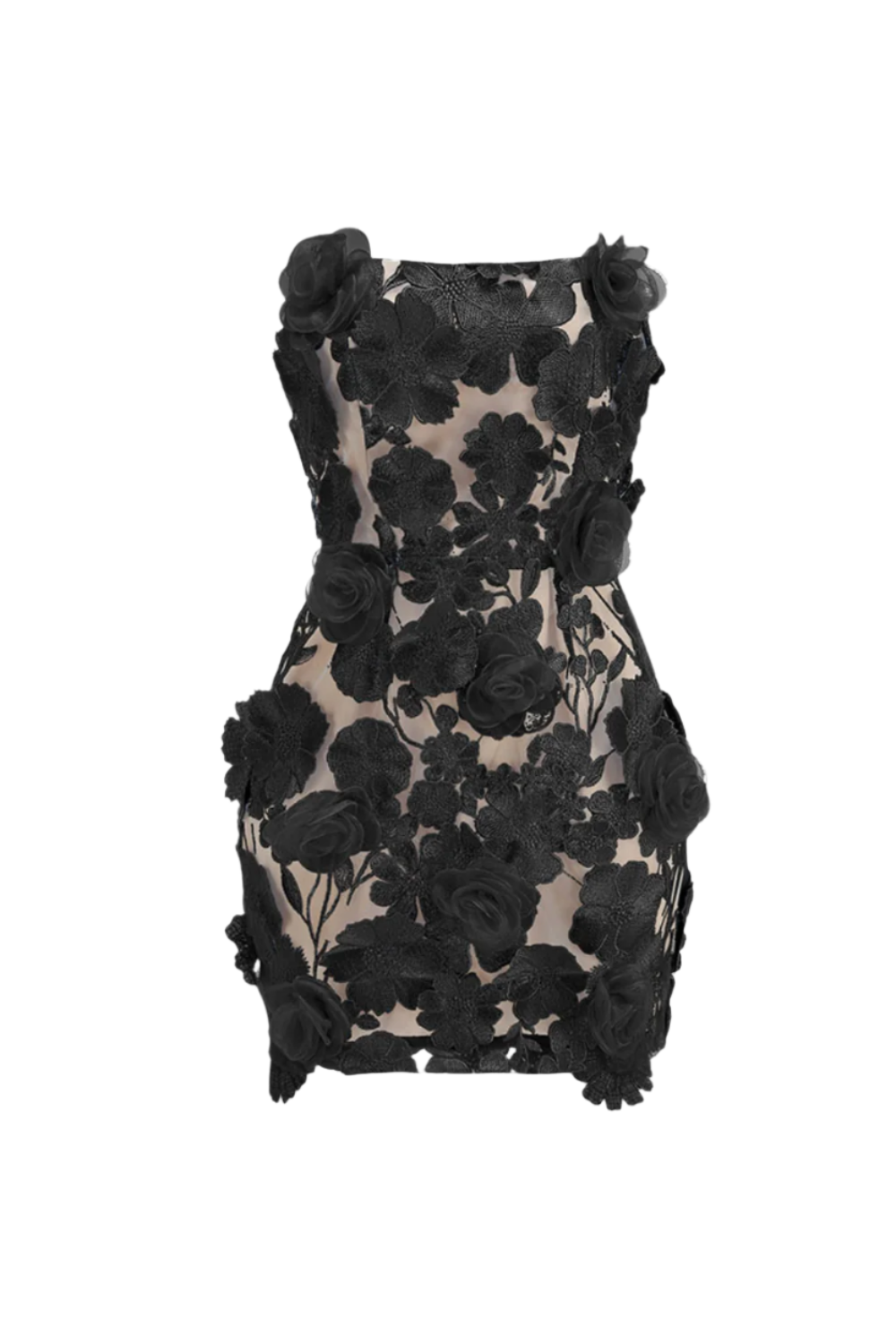 Jessica Floral Embroidery Mini Dress in Black Avalabel