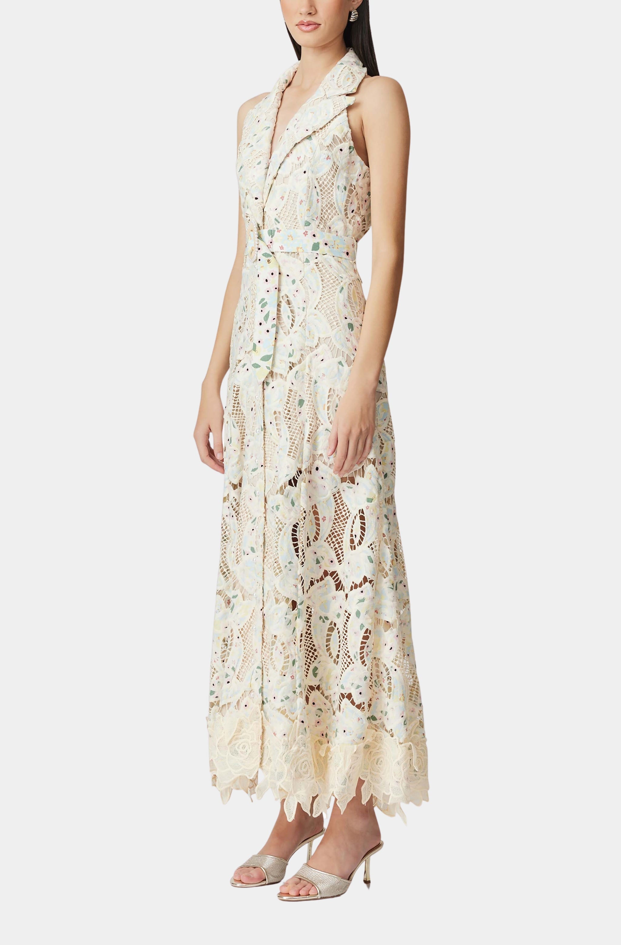 Chloe Sleeveless Hollow Lace Maxi Dress in Beige Avalabel