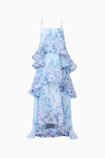Sandy Tiered Maxi Dress In Baby Blue Floral