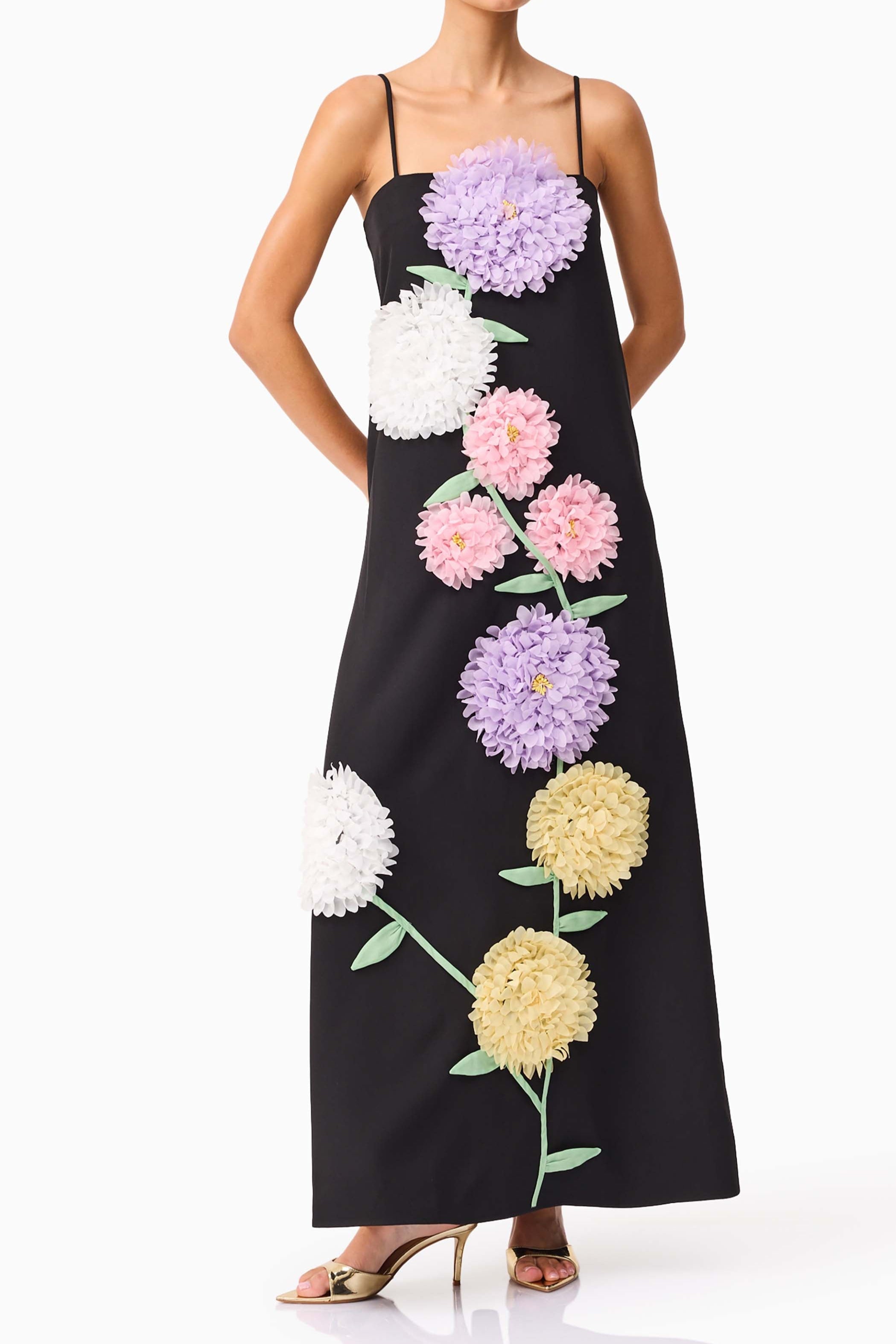 Kristin Buttercup Embroidered Maxi Dress in Black Avalabel