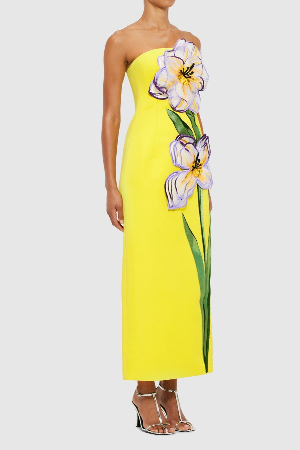Suzanne Appliqué Floral Bustier Maxi Dress in Yellow Avalabel