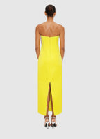 Suzanne Appliqué Floral Bustier Maxi Dress in Yellow Avalabel