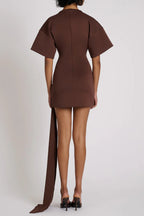 Draped Embellished Mini Dress - Brown Avalabel