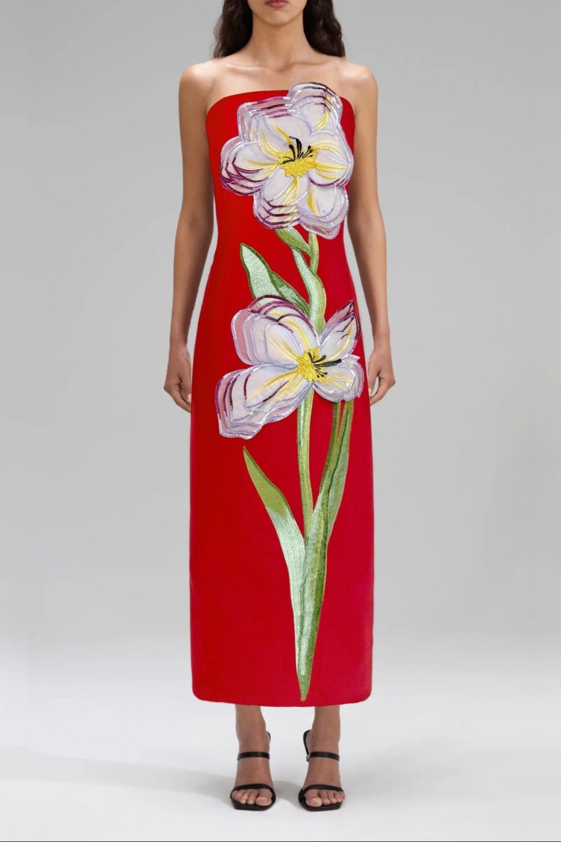 Suzanne Appliqué Floral Bustier Maxi Dress in Red Avalabel