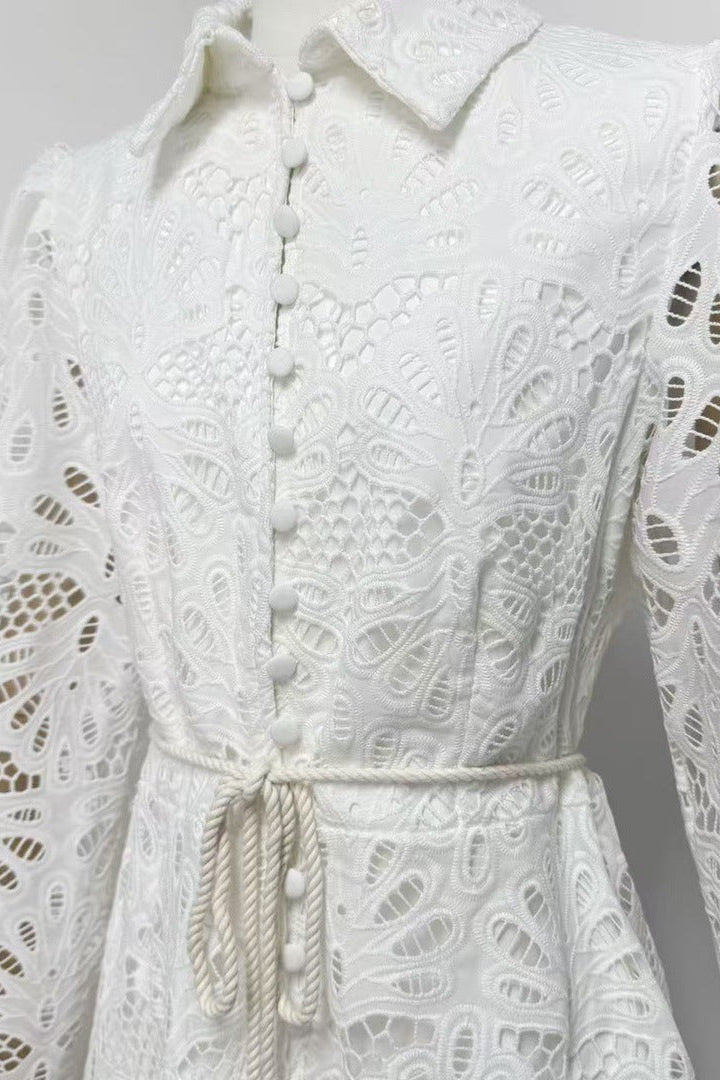 Lapel Hollow Embroidery Puff Sleeve Mini Dress in White Soraya